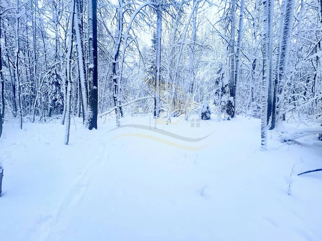 Продажа участка, Сокольники, Дмитровский район - Фото 7