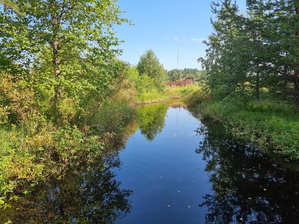 Продажа участка, Бородинское, Выборгский район - Фото 14