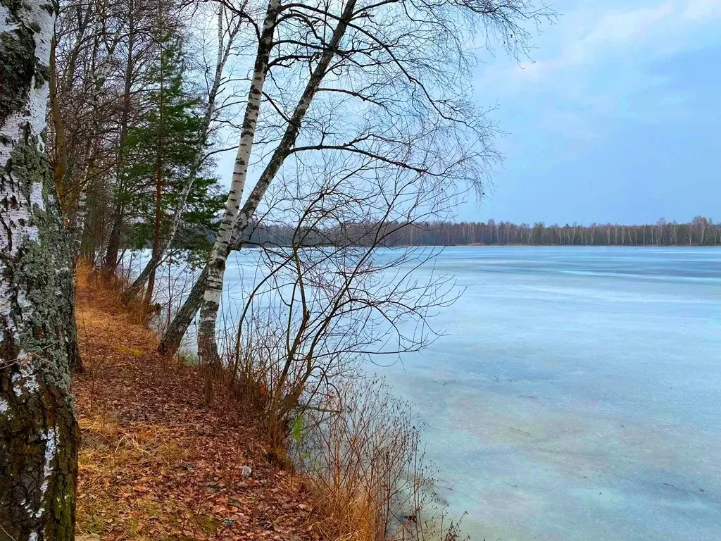 Дом в деревне Верейка - Фото 12