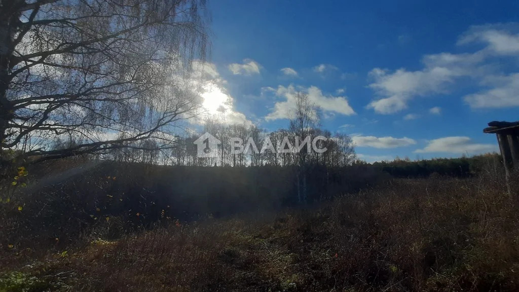 Суздальский район, деревня Бородино, Бородинская улица,  земля на ... - Фото 8