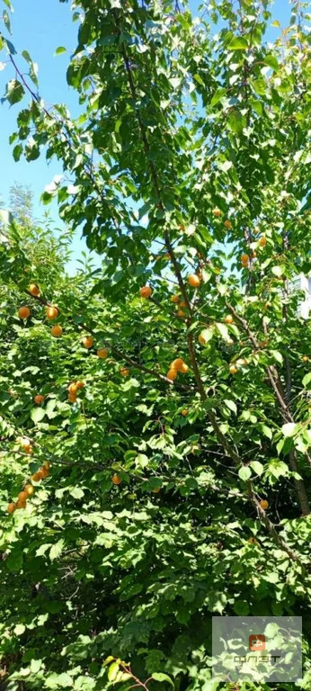 Продажа дома, Казань, тер. СНТ КГУ НПП им В.И.Ленина Лагерная - Фото 17