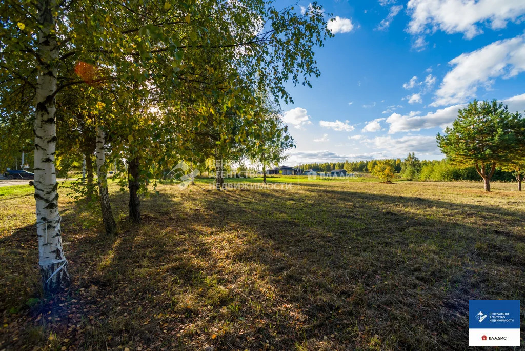 Продажа участка, Рязанский район - Фото 14
