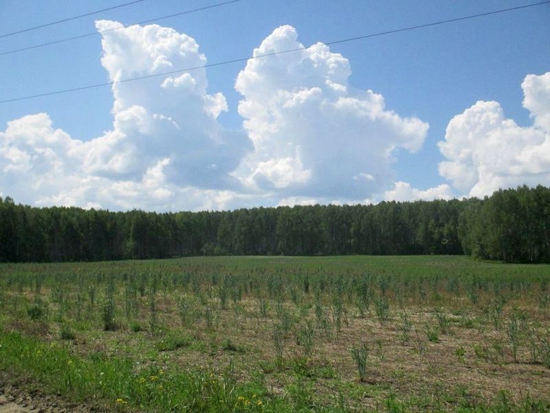 П га. Село Новоалексеевское. Новоалексеевское Свердловская область. Земли сельхозназначения Свердловская область. Новоалексеевское фото.