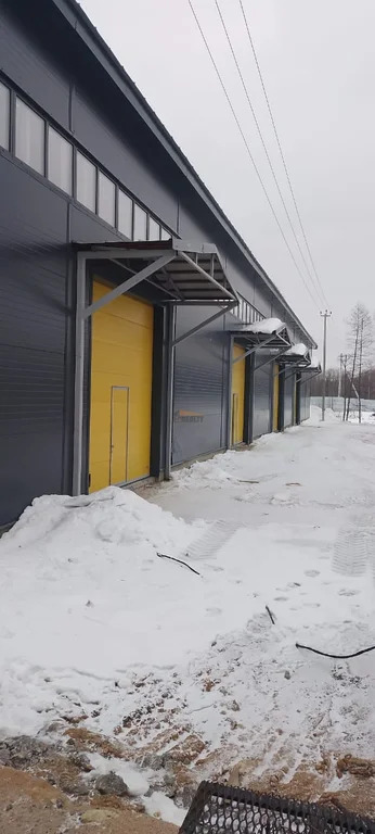 Аренда производственного помещения, Одинцовский район, 28 - Фото 13