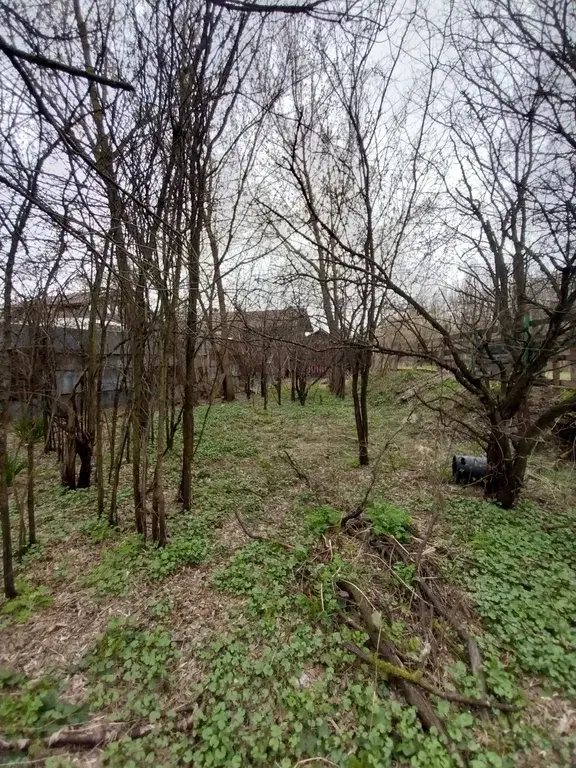 Участок 12,5 соток. д.Пехорка, Люберецкий р-н - Фото 7