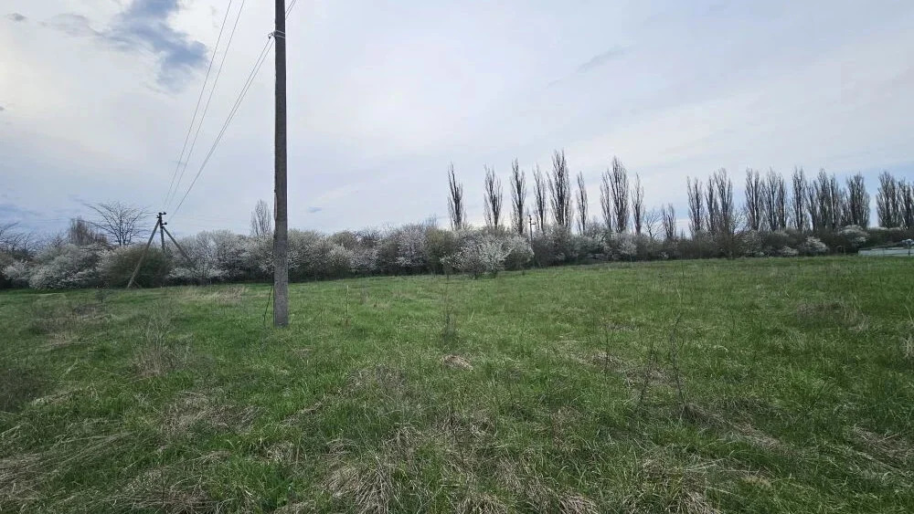 Продажа участка, Холмская, Абинский район - Фото 1