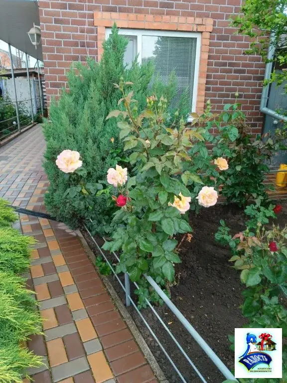 Продам таунхаус с гостиничными номерами в хорошем месте. - Фото 43