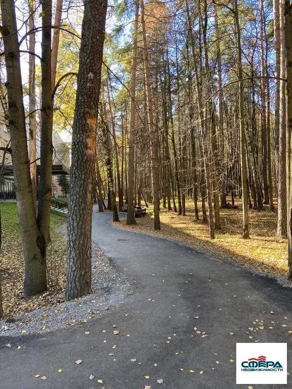 Продается студия 15,9 кв.м, в новом готовом комплексе Forest Suites - Фото 3