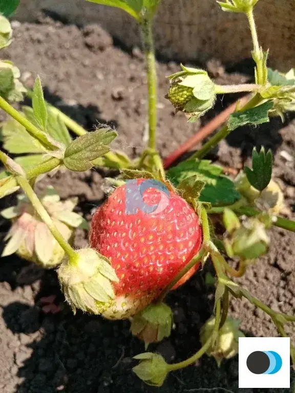 Продажа дома, Нагаево, улица Галимьяна Тагана - Фото 3