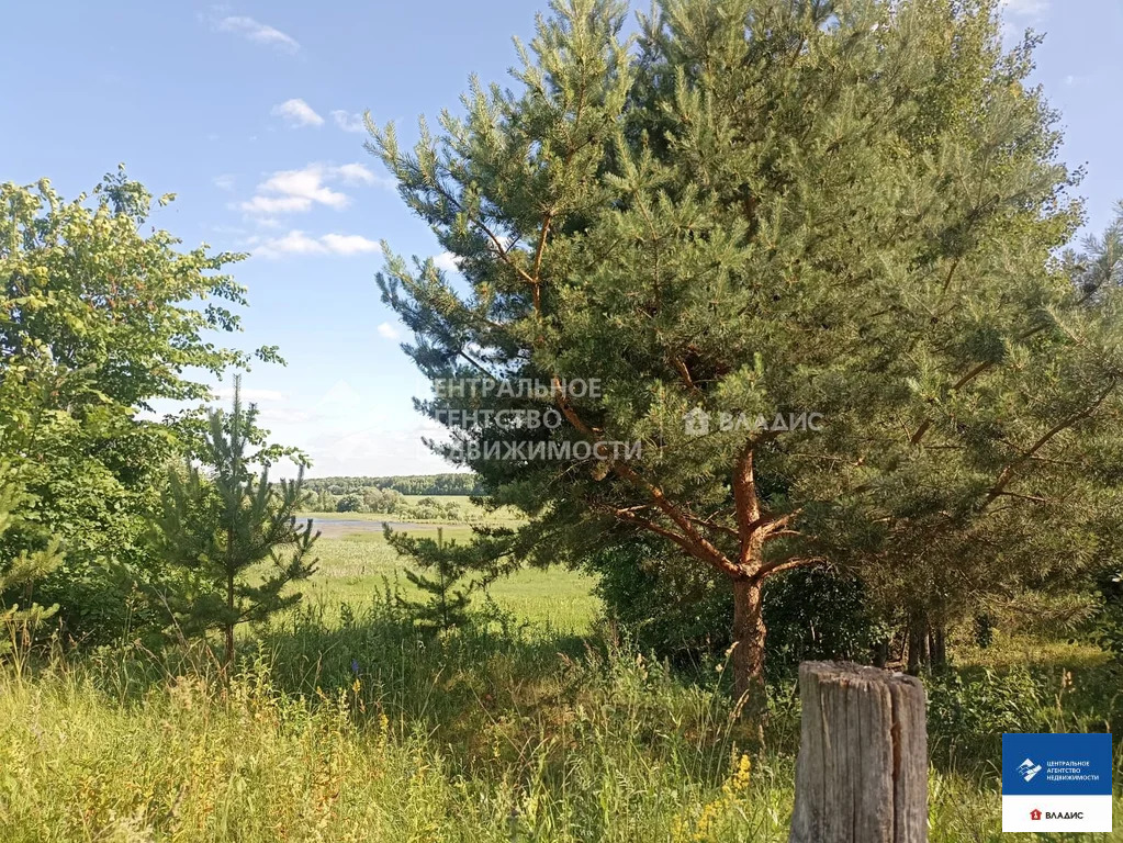 Продажа участка, Ильинское, Рыбновский район - Фото 3