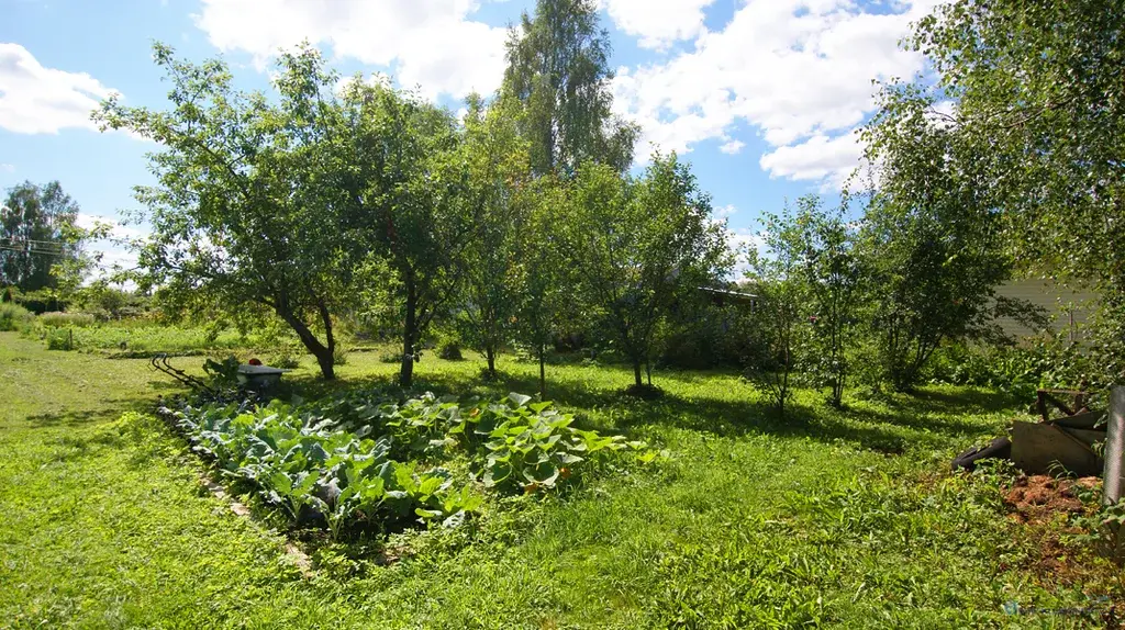 Дом в д. Чернево на Новорижском направлении МО недалеко от реки - Фото 20