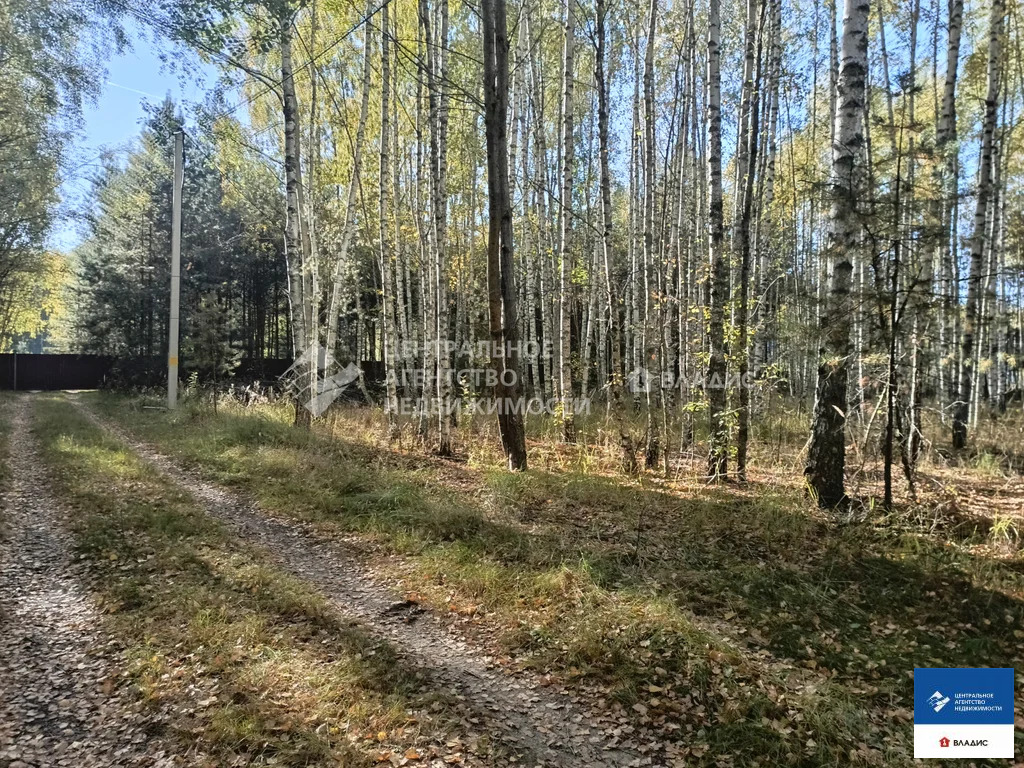 Продажа участка, Спасский район - Фото 7