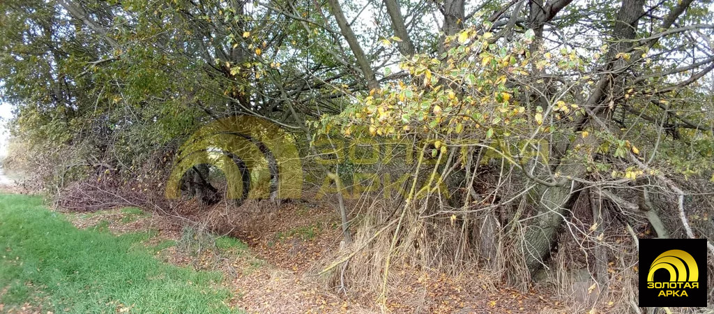 Продажа участка, Ахтанизовская, Темрюкский район, Северный пер. - Фото 6