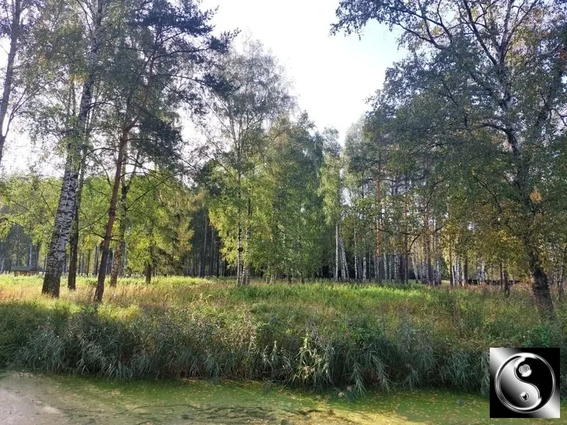 2-к. квартира, 60 м, 3/12 эт.Moсква, Яpocлавское шоcсe, 8к2 С - Фото 40