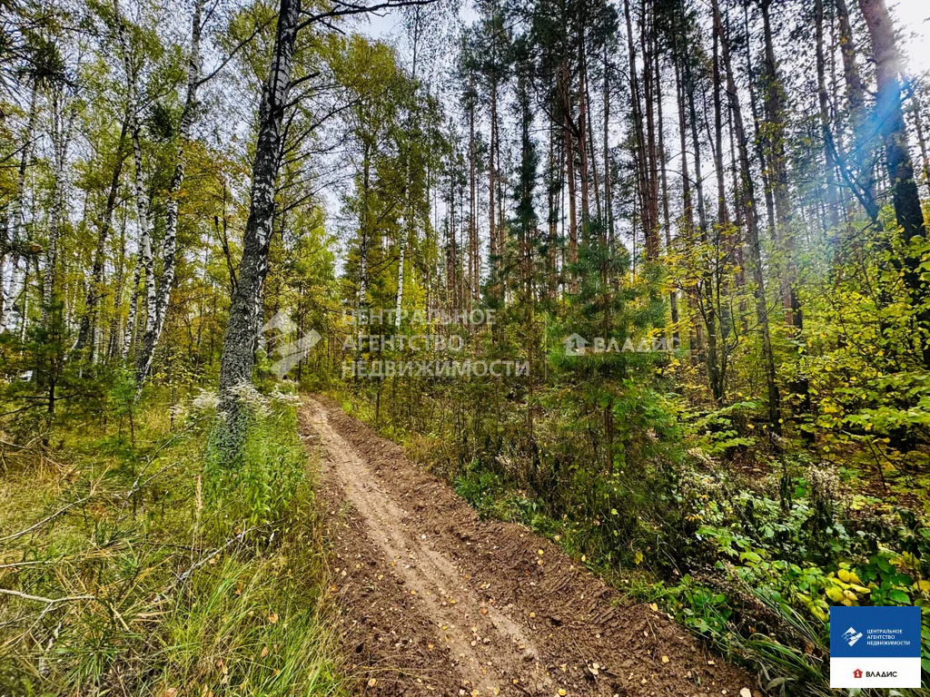 Продажа участка, Казарь, Рязанский район, ул. Лесная - Фото 4