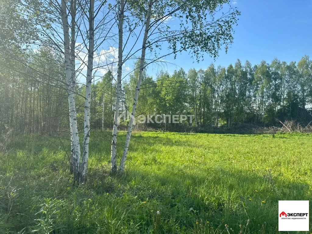 Участок, п. Елизаветино - Фото 4