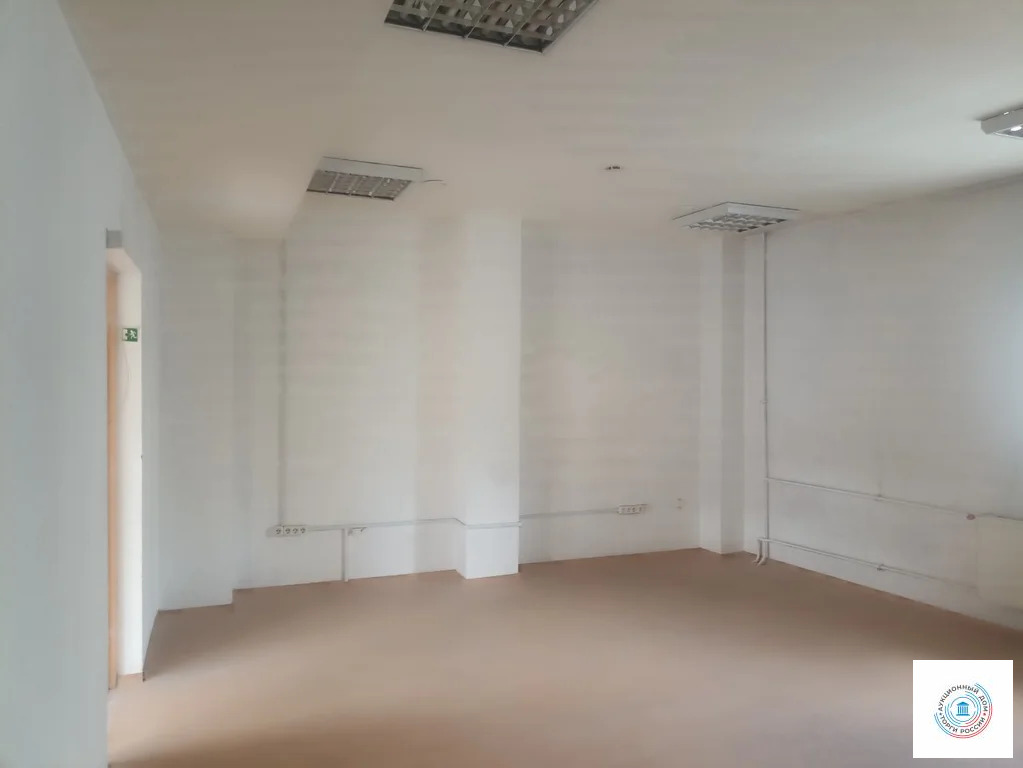 Помещение свободного назначения, 265.4 м - Фото 5