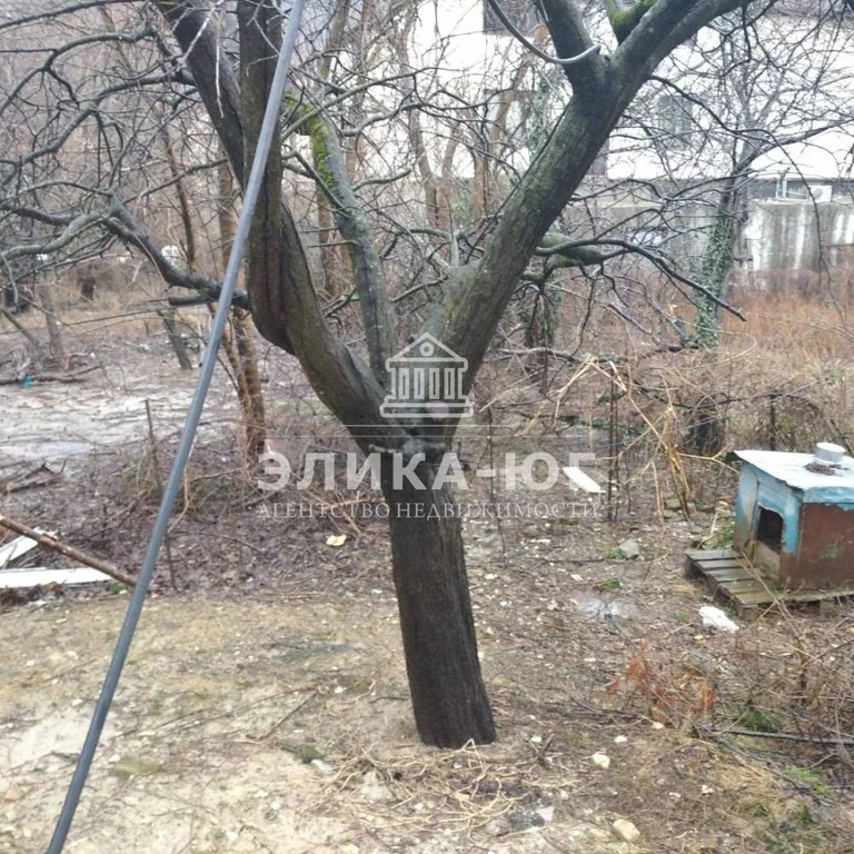 Продажа дома, Ольгинка, Туапсинский район, ул. Черноморская - Фото 15