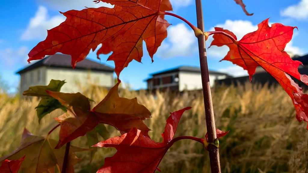 Продажа участка, Першино, Наро-Фоминский район - Фото 22