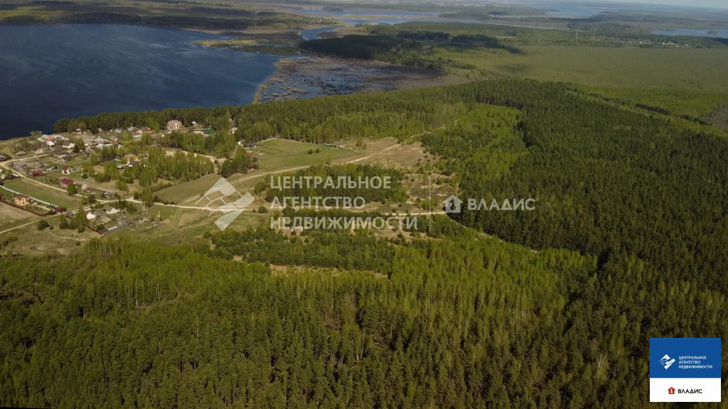 Продажа участка, Фролово, Клепиковский район - Фото 3