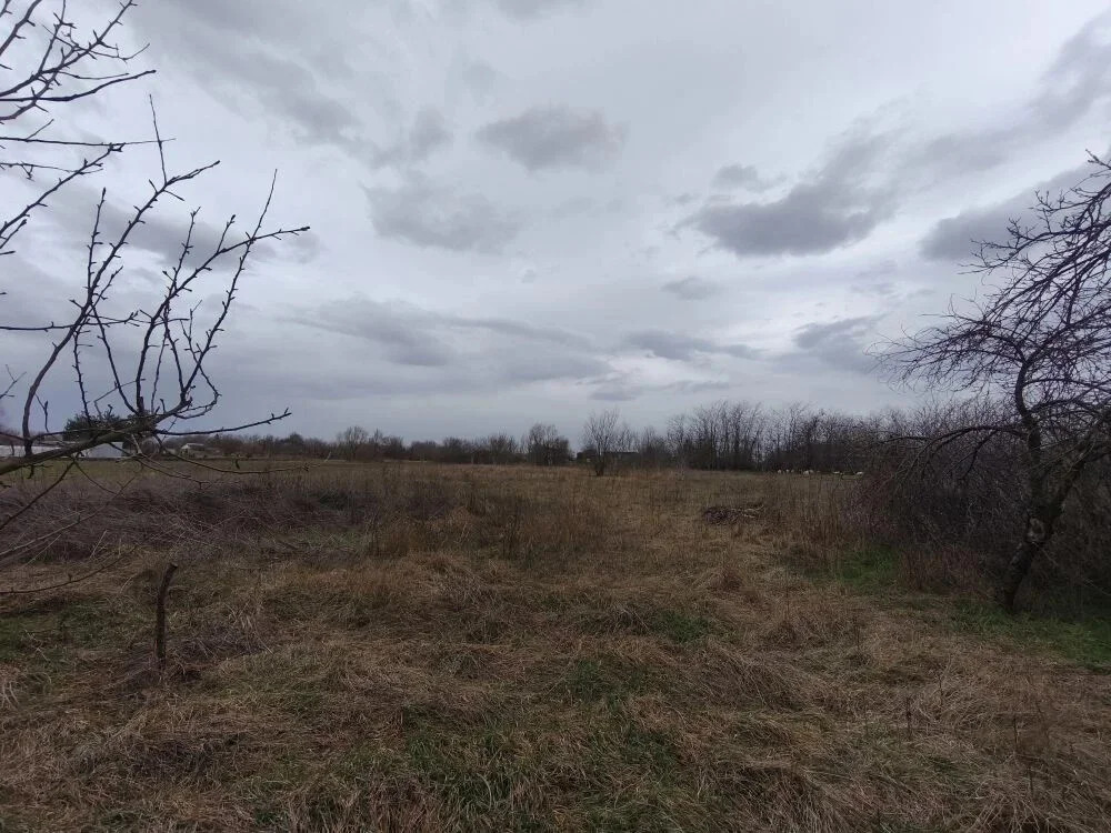 Продажа участка, Львовское, Северский район, ул. Октябрьская - Фото 1