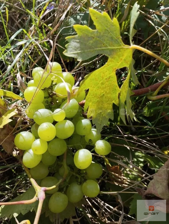 Продажа дома, Высокогорский район, Участок - Фото 3