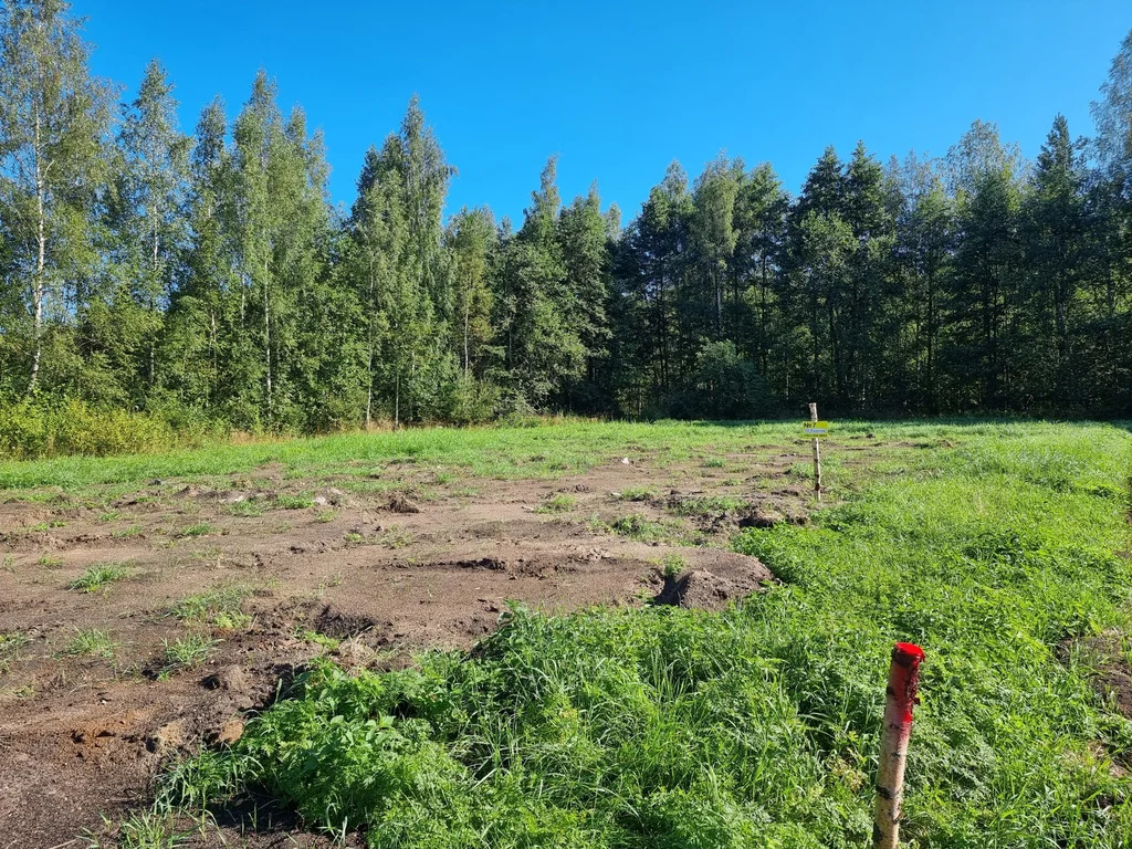 Продажа участка, Большие Пороги, Всеволожский район - Фото 2