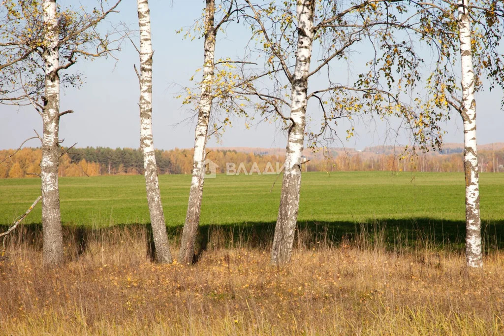 Собинский район, село Бабаево, Спасская улица,  земля на продажу - Фото 10