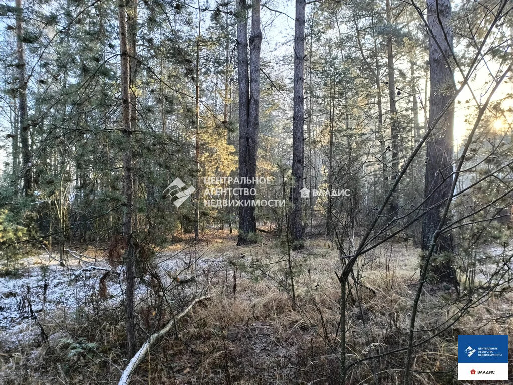 Продажа участка, Алеканово, Рязанский район - Фото 2