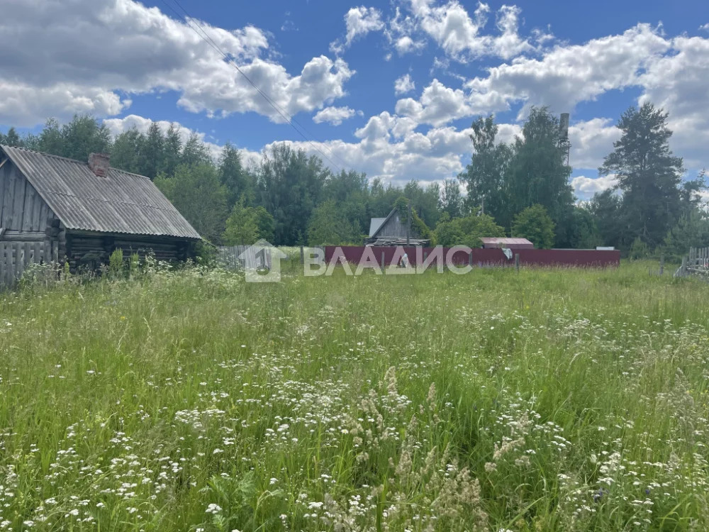 Судогодский район, село Ликино, земля на продажу - Фото 3