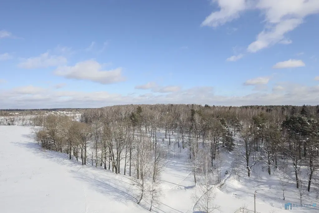 Хотите квартиру с удобной планировкой в экологически чистом районе? То - Фото 8