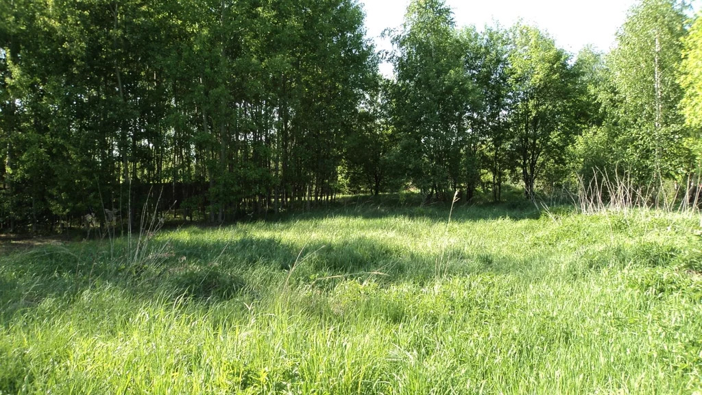 Ижс коломна. Маливо Коломенский район. Деревня Маливо Коломенский район. Маливо. Село Маливо.