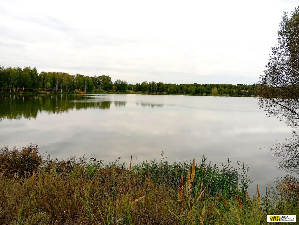 Продажа участка, Воскресенское, Богородский г. о. - Фото 3