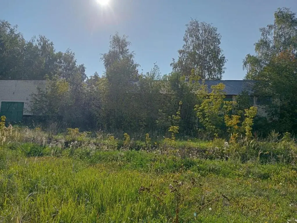 Здание и земельный участок - Фото 7