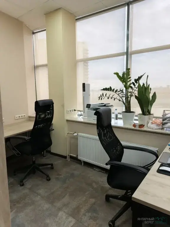 Продается коммерческое помещение 126,6 м2 в ТРК Парнас - Фото 6