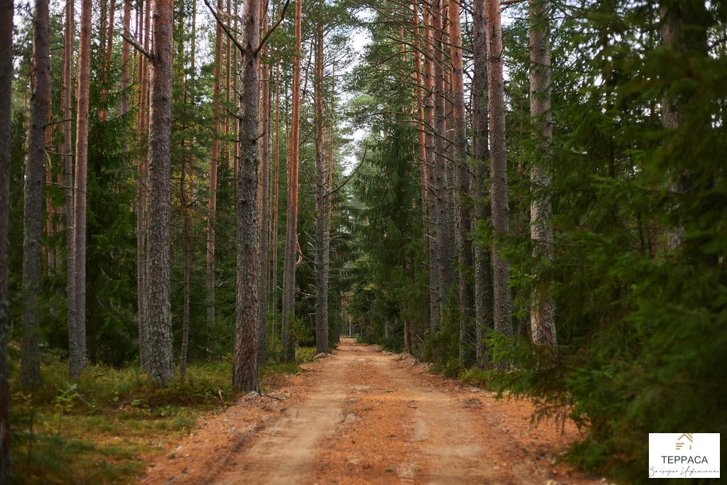 Продажа дома, Борисово, Бокситогорский район - Фото 17