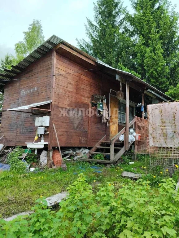 Продажа дома, Кошево, Мошковский район - Фото 4