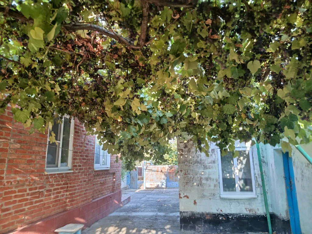 Продажа дома, Вышестеблиевская, Темрюкский район, Красноармейский пер. - Фото 3