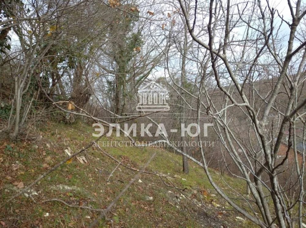 Продажа участка, Пляхо, Туапсинский район, ул. Совхозная - Фото 8