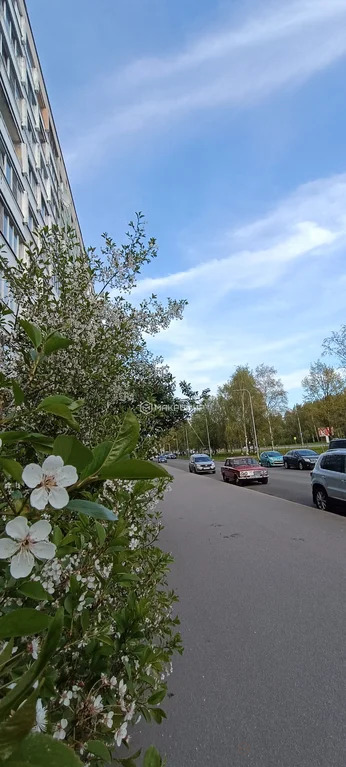 Продажа квартиры, м. Озерки, Северный пр-кт. - Фото 0