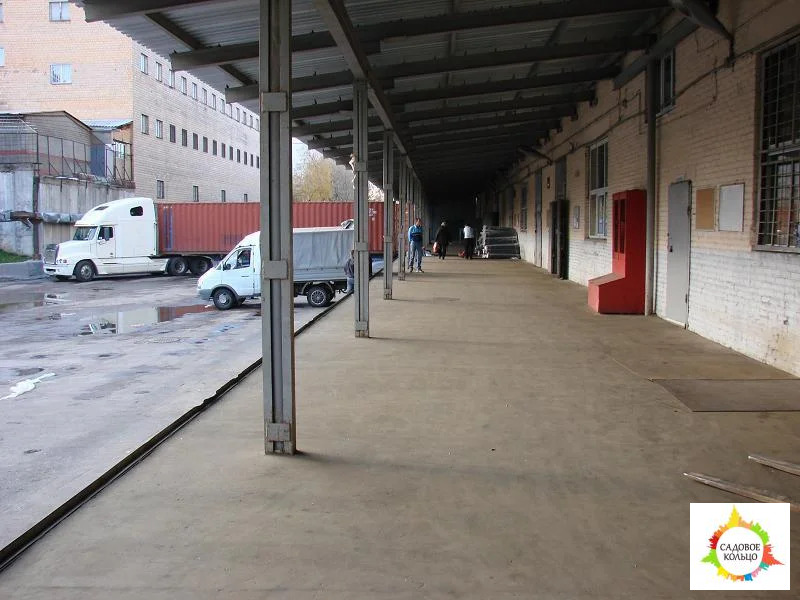 Роман - Фото 1