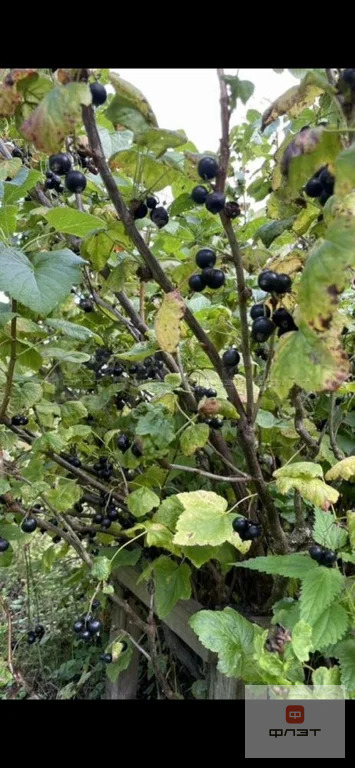 Продажа дома, Мари-Луговая, Звениговский район, ул. Мари-Луговая - Фото 8