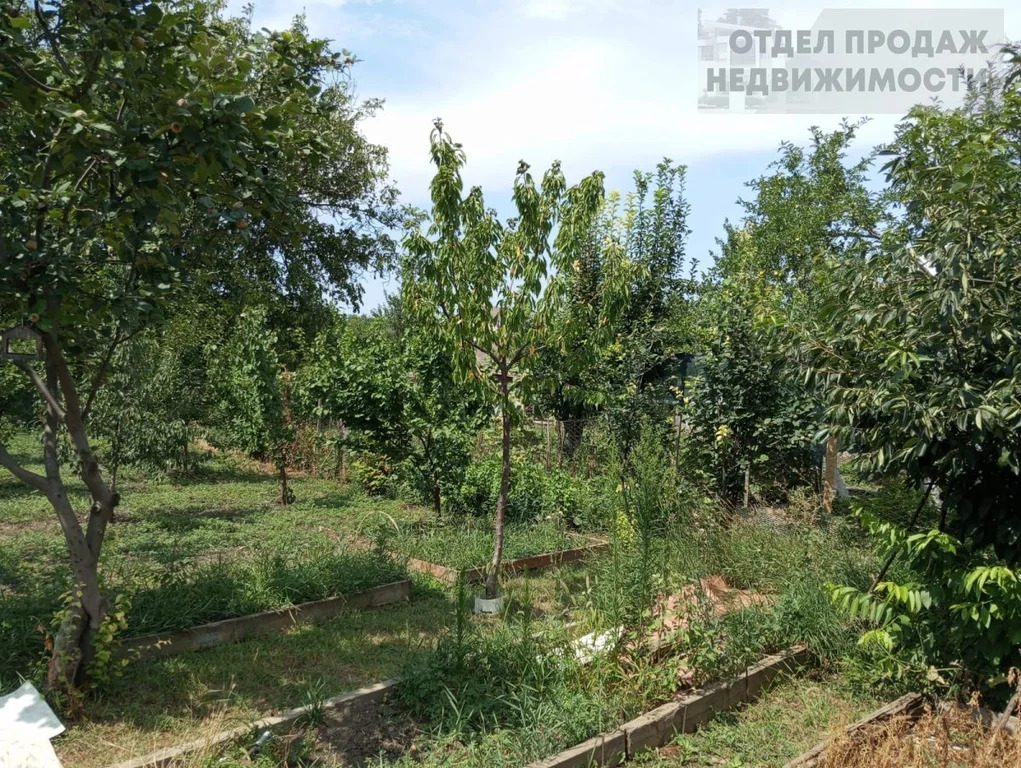 Объект 537476 - Фото 22