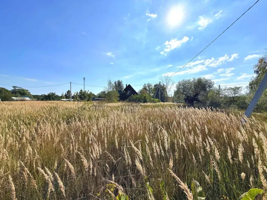 Участок в деревне Слободище - Фото 8