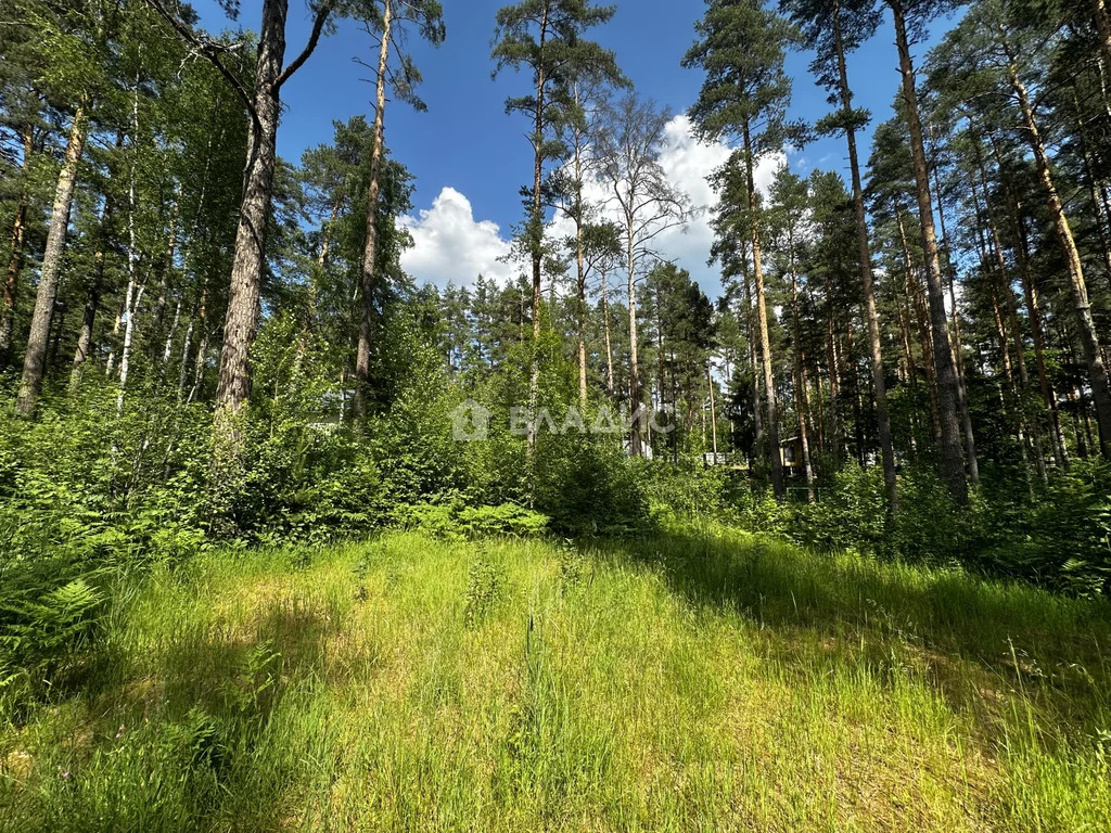 Приозерский район, посёлок Сосново,  дом на продажу - Фото 13