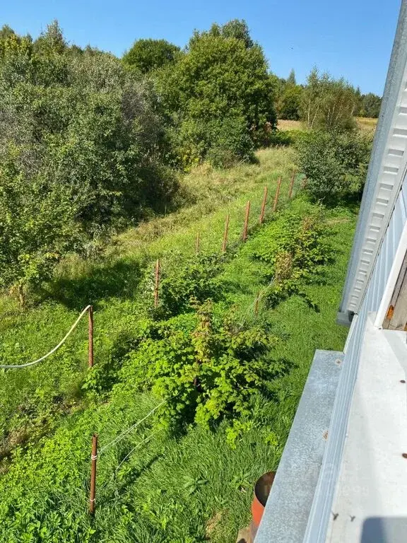 Купить дом 32.0м Тульская область, Алексин городской округ, Ладерево ... - Фото 32