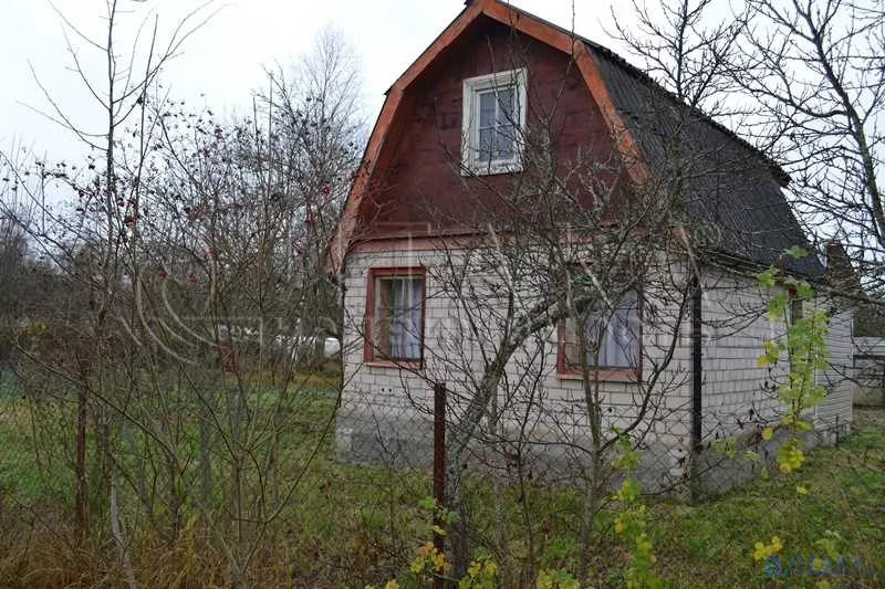 Дача в лужском районе ленинградской. Деревня Заплотье Лужский район. Садоводство Абразивщик Лужский район. СНТ Абразивщик. Заплотье Ленинградская область.