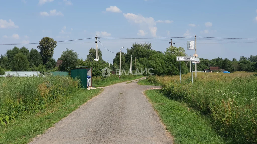 городской округ Ступино, посёлок Каменка, Раздольная улица,  земля на ... - Фото 8