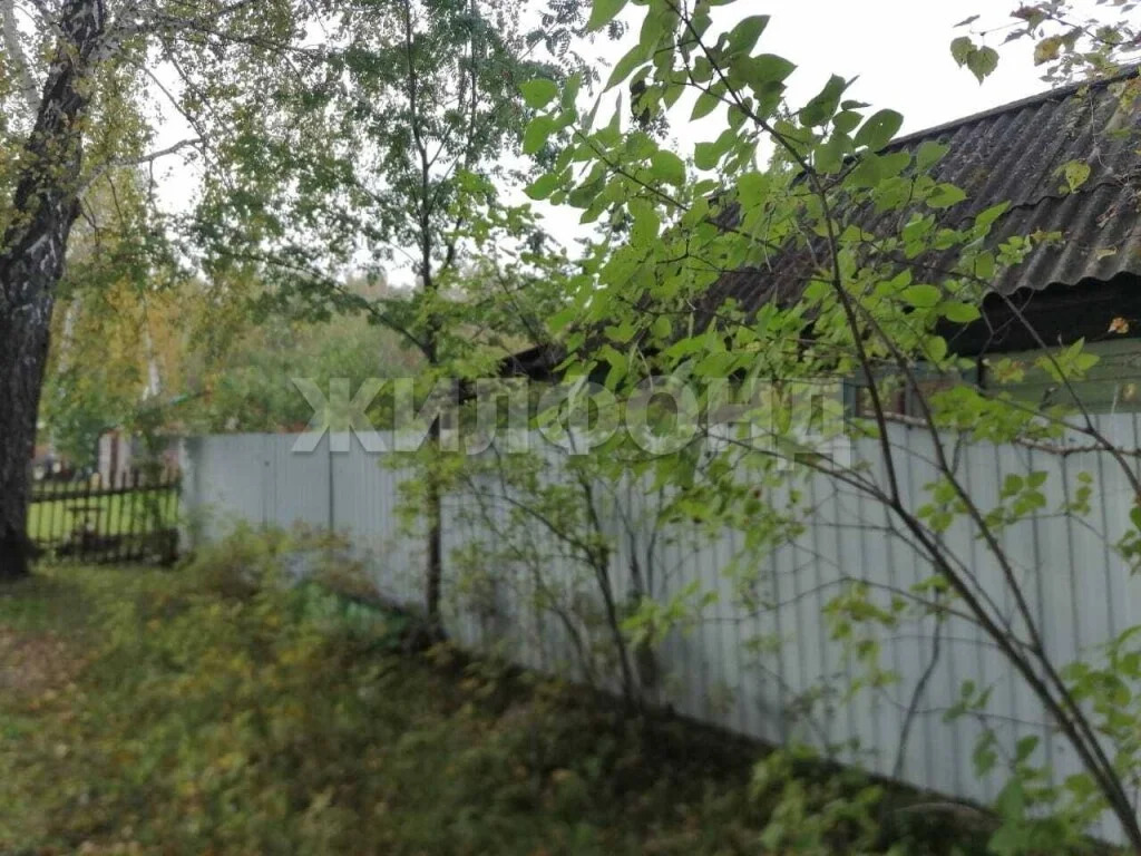 Продажа дома, Новосибирск, нст Черемушки - Фото 19
