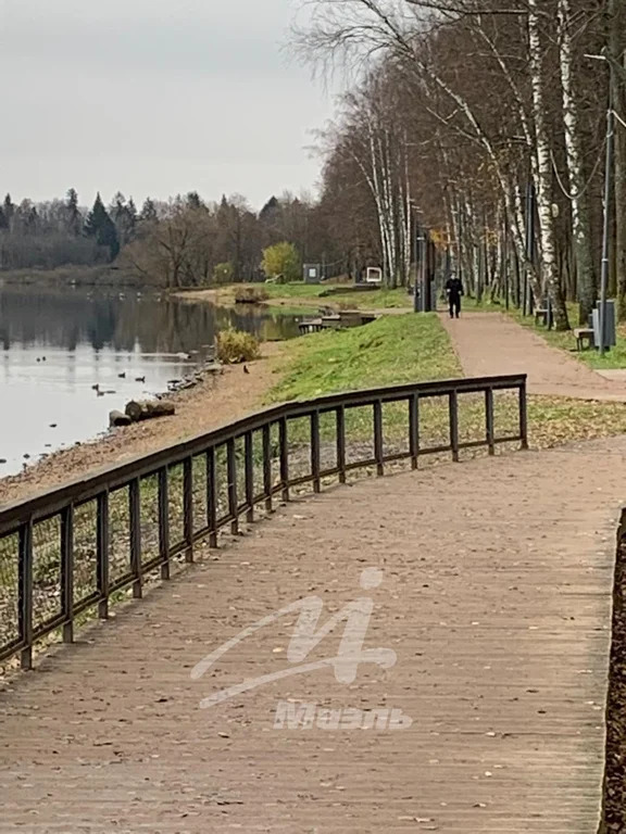 Продажа квартиры, Солнечногорск, Солнечногорский район, ул. Курсы ... - Фото 12